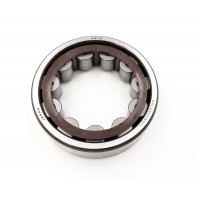 Genuine Honda Gearbox Bearing 91003-PPT-004