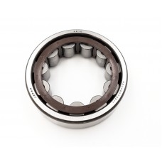 Genuine Honda Gearbox Bearing 91003-PPT-004